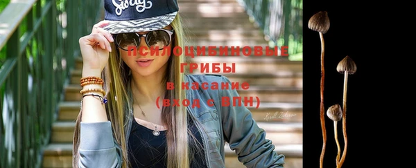 spice Нягань