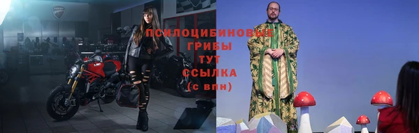 МДПВ Осташков