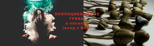 соль ск Остров
