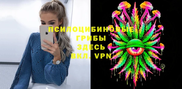 МДПВ Осташков