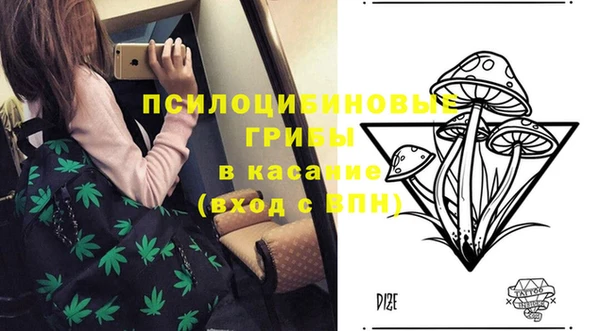 соль ск Остров