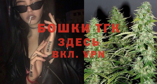 МДПВ Осташков