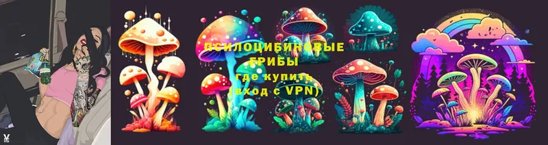 Псилоцибиновые грибы GOLDEN TEACHER  Углегорск 